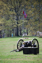 Cannon and Flag