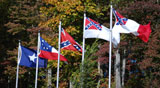 CSA Flags in the Fall